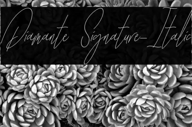 Diamante Signature_Italic Font examples