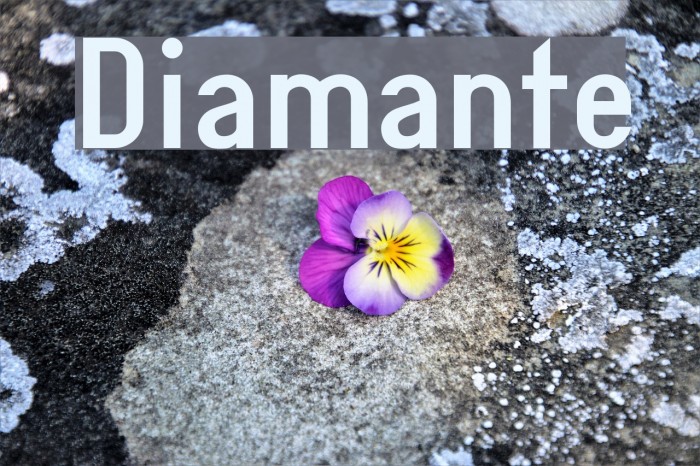 Diamante Example 2