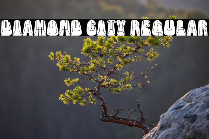 Diamond City Regular Example 1