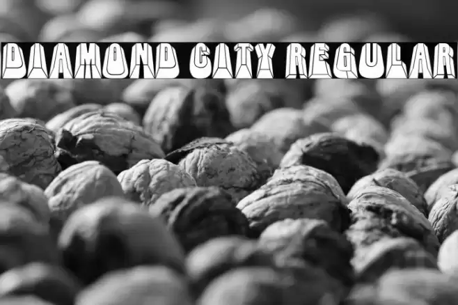 Diamond City Regular Font examples