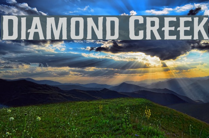 Diamond Creek Example 2
