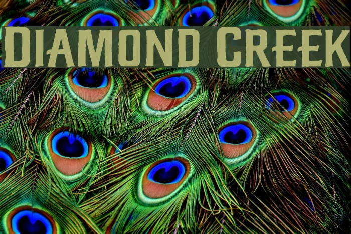 Diamond Creek Example 3