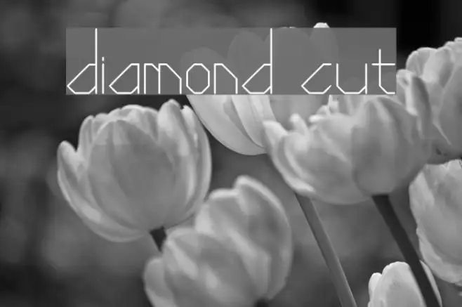 Diamond Cut Example 3