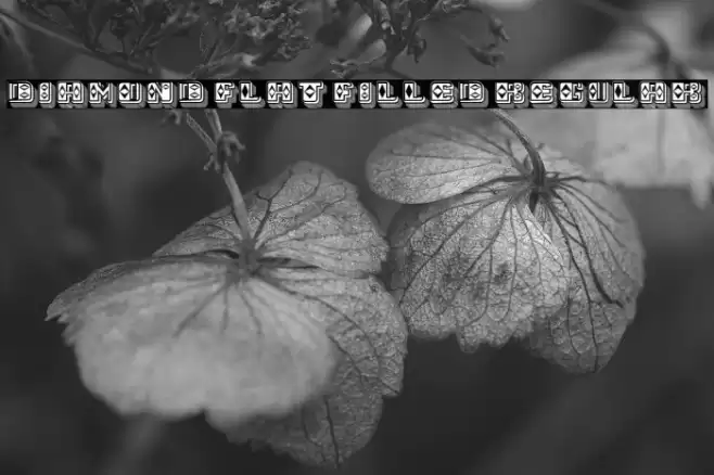 Diamond Flat Filled Regular Font examples