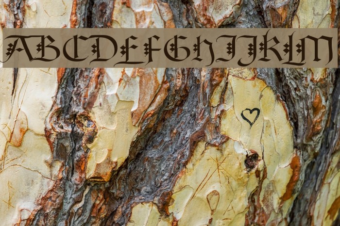 Diamond Gothic Font examples