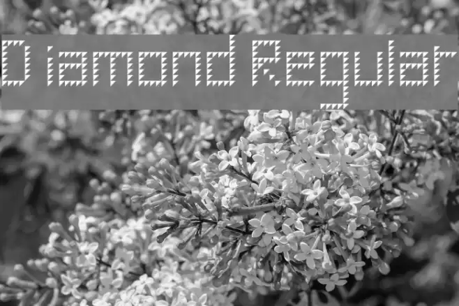 Diamond Regular Font examples