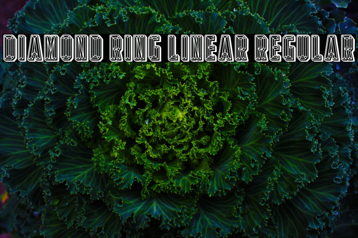 Diamond Ring Linear Regular Font examples