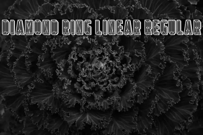 Diamond Ring Linear Regular Caratteri examples