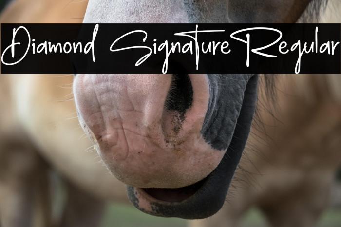 Diamond Signature Regular Example 1
