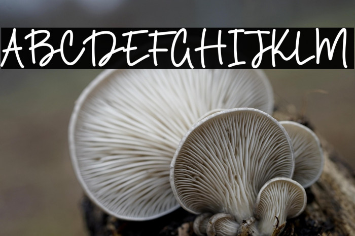 Diamond Smith Example 1