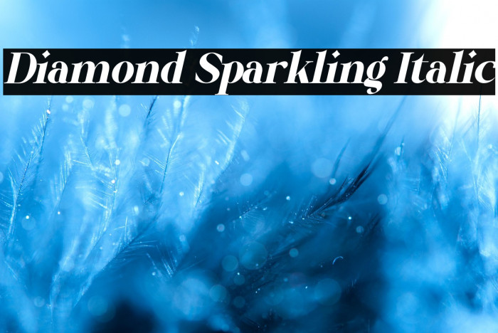 Diamond Sparkling Italic Example 1