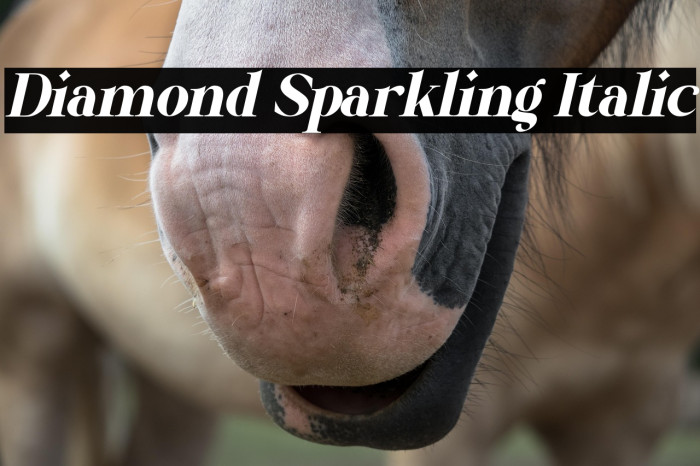 Diamond Sparkling Italic Example 2