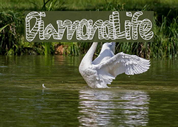DiamondLife Font examples