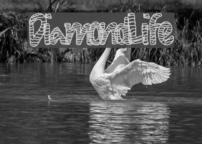 DiamondLife Example 1