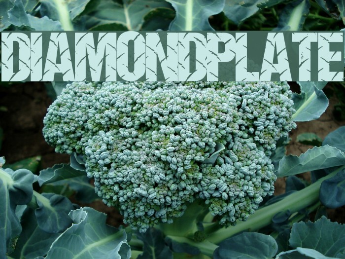 DiamondPlate Font examples