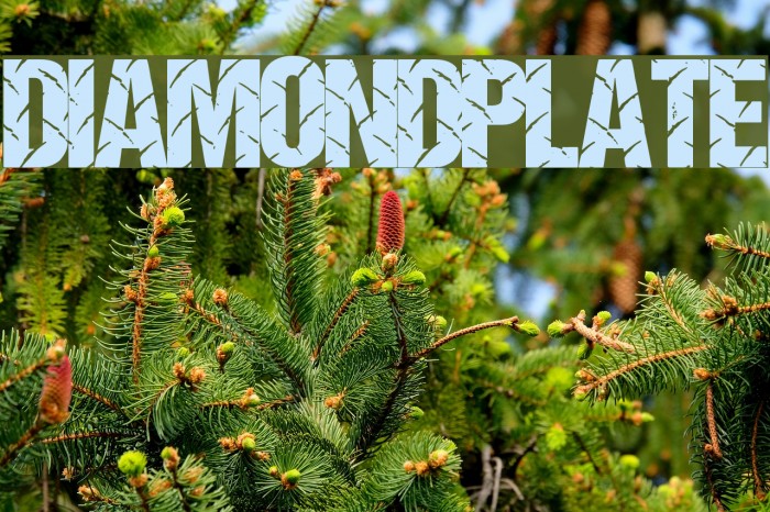 DiamondPlate Font examples
