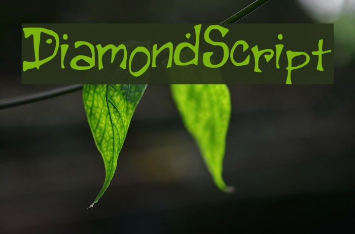 DiamondScript Schriftart examples