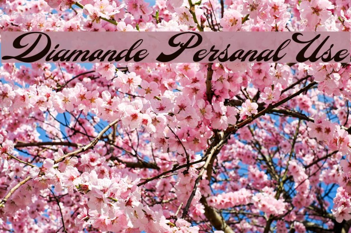Diamonde Personal Use Example 1