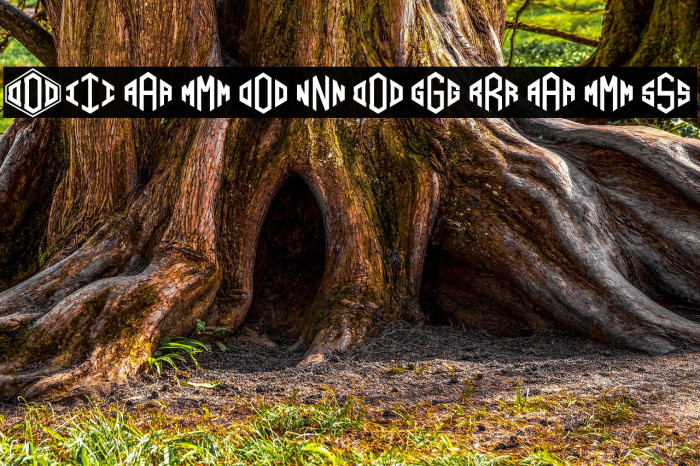 Diamondgrams Example 1