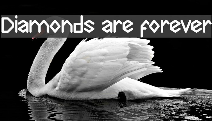 Diamonds are forever Font examples