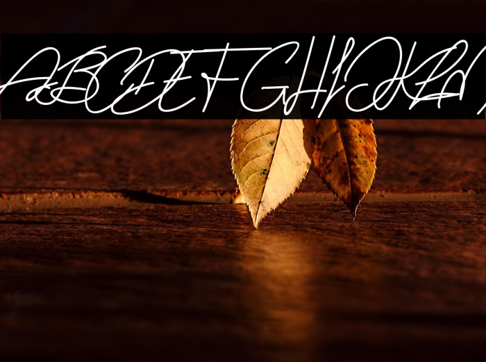 Diana And Shelly Example 1