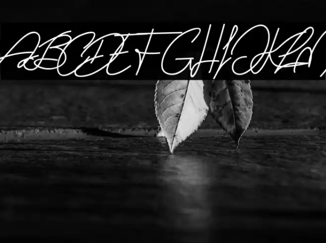 Diana And Shelly Font examples