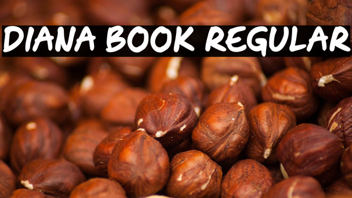 Diana Book Regular Example 1