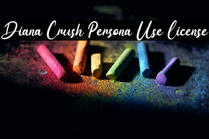 Diana Crush Persona Use License Example 1