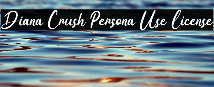 Diana Crush Persona Use License Example 3