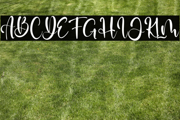 Diana David Example 1