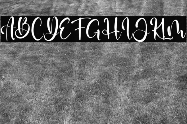 Diana David Example 1