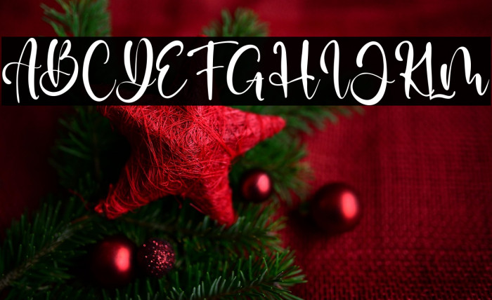 Diana David Example 2