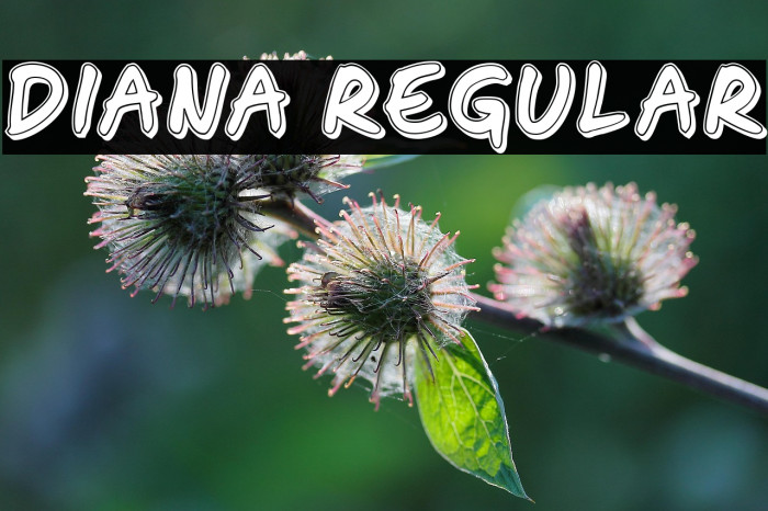 Diana Regular Example 2