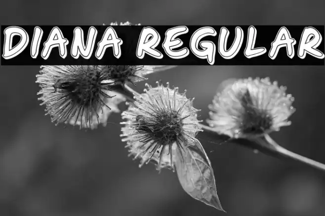 Diana Regular Example 2