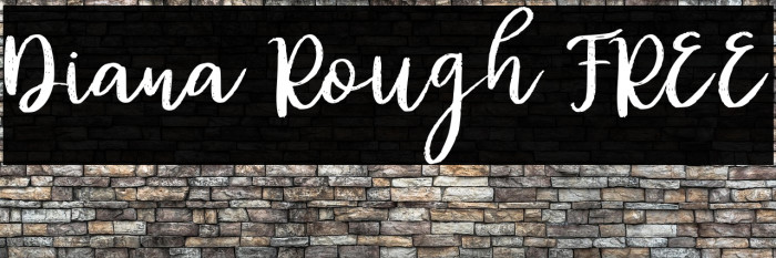 Diana Rough FREE Example 2