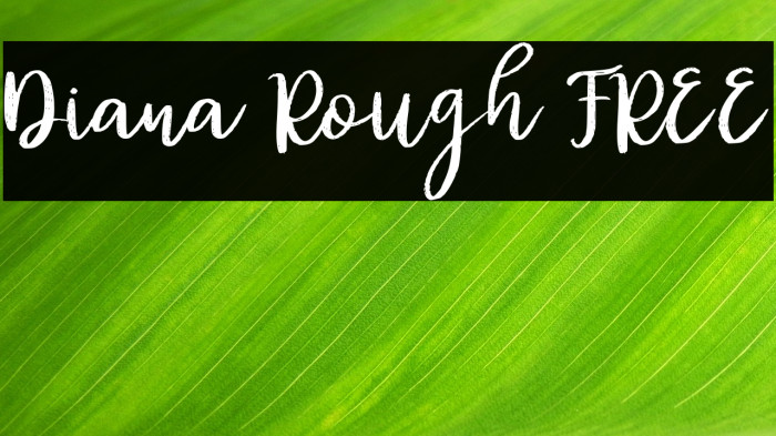 Diana Rough FREE Example 3