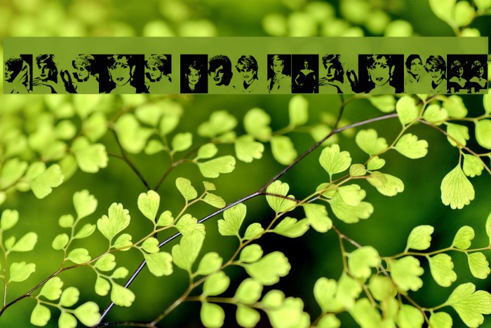 Diana the Princess Example 1