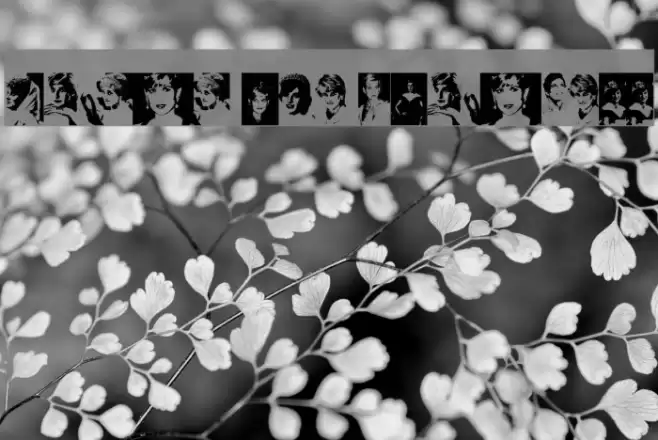 Diana the Princess Font examples