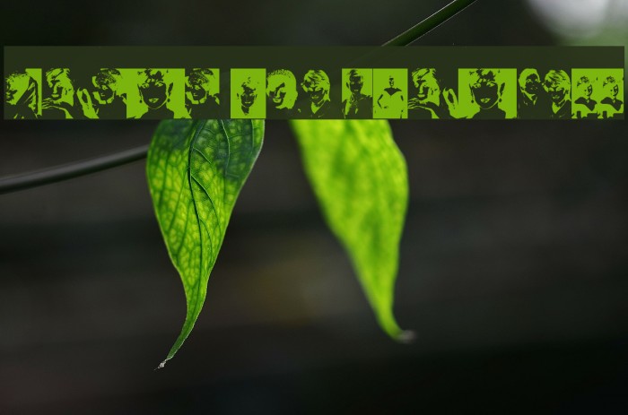 Diana the Princess Example 2