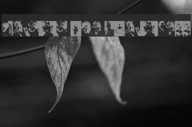 Diana the Princess Font examples