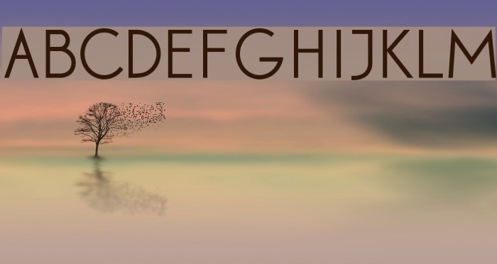 DianaSans Font examples