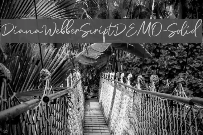 DianaWebberScriptDEMO-Solid Font examples