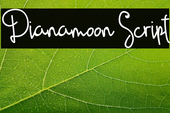 Dianamoon Script Example 2