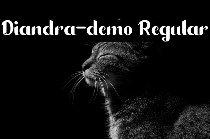 Diandra-demo Regular Example 2