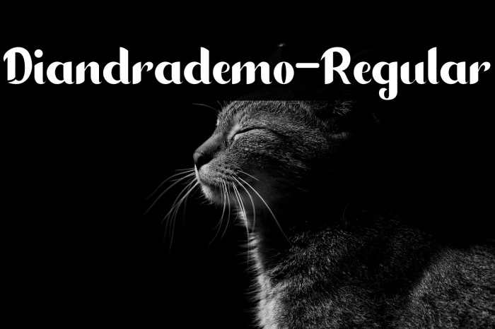 Diandrademo-Regular Example 3