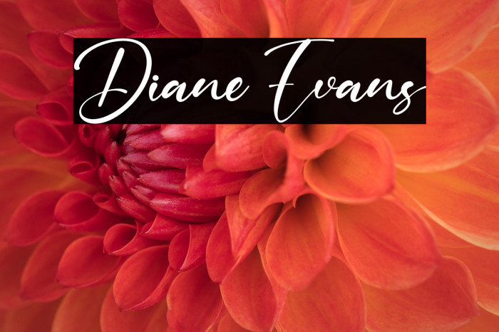 Diane Evans Example 1