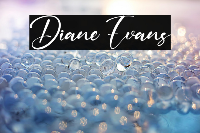 Diane Evans Example 2