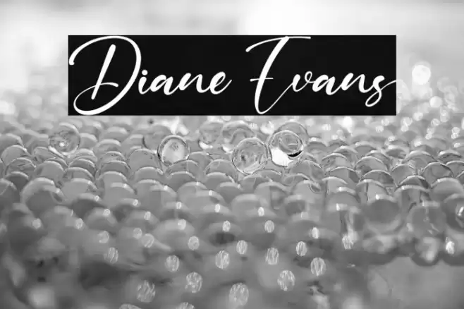 Diane Evans Font examples