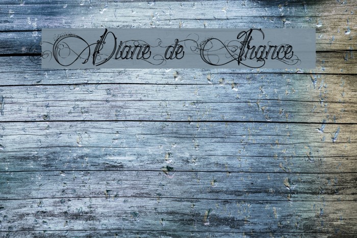 Diane de France Font examples