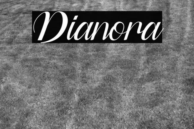 Dianora Font examples